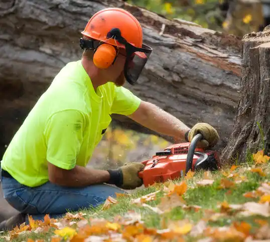 tree services Uhrichsville